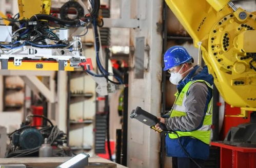 专科毕业生的职业流向 数据揭示主流去向，过来人分享真实体会