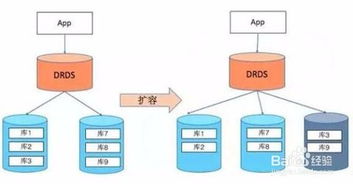 深入理解MySQL表设计规范与数据处理服务的关键关联